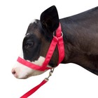Cow Halter Cattle Halters Adjustable Calf With Leading Rope S  Pink