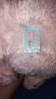Amuse Japan Mew-chan Cat Plush 14  Pink Kawaii Cute Kitty Stuffed Animal