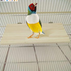 3pcs Pet Parrot Bird Cage Perches Square Wooden Stand Platform Budgie Toys Bird 