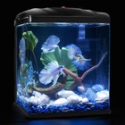 2 Gallon Glass Aquarium Self Cleaning Fish Tank Kit Betta Goldfish Tropical Fish