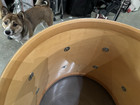 16  Premier Projector Floor Tom Drum Needs Tlc No Legs No Bracket Re-rings  iw3