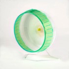 Kaytee Silent Spinner Wheel Giant 12in Diameter