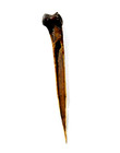 Antique Papua New Guinea Cassowary Asmat Bone Dagger   Nimbus  Tribal Artifact