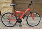 Custom Southwest Airlines Mountain Bike  tj Luv 
