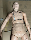 Laerdal Als Simulator Training Manikin