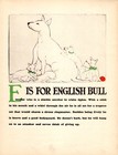 Antique 1940 Bull Terrier Print Abc Letter E Alphabet Print Wall Art Decor 5062s