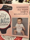 Baby Milestone Stickers Baby Belly Brags Stickers For A Girl  18 Stickers