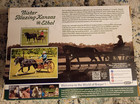 Breyer Nistar Blazing Kansas   Ethel Welsh Mare   Foal Model  1857 Pony 1