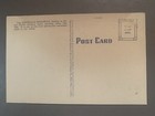 Vintage 1930s-1940s Generals Highway Sequoia National Park California Postcard