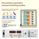 Automatic 120 Eggs Incubator Temperature Control Digital Chicken Egg Hatcher