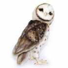 27cm H Hansa Barn Owl Realistic Cuddly Soft Animal Plush Toy Ideal Gift
