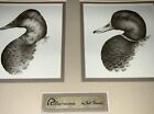 Ducks Unlimited Jett Brunet Framed Pencil Sketch 4 Different Ducks Rare 24x24