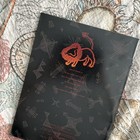 The Lion King Broadway Musical Souvenir Program Playbill Collectible Book