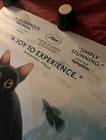 Flow Ds 27x40 Rolled Original One Sheet Movie Poster Gints Zilbalodis  2024  