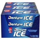 Sugar Free Peppermint Gum - 16 Pieces Per Pack  9 Packs Total  Fresh Breath