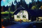 Original 1940 Americana 35mm Red Border Kodachrome Photo Slide Candid 003415