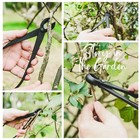 15-piece Bonsai Tree Kit  Bonsai Tool Set  Bonsai Starter Kit  Carbon Steel S   