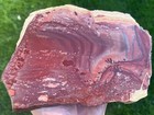 X-lg Apache Canyon Dendritic Rhyolite Rough Slab 9   x6    598gm  s72 