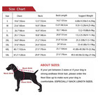 Warm Fleece Dog Winter Coat     Cozy Lurcher Jumper Jacket With Adjustable