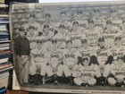 Original - 1950 Seattle Rainiers Baseball - Team Issued Photo - Pcl - 7x14in 