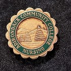 10kt Gold Adidonrack Community College Nursing Pin  4 4 Dwt   2 