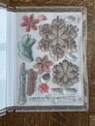 Stampin  Up Delicate Pines Stamp Set   Dies Bundle - Christmas  Snowflakes