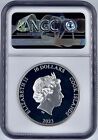 2023 Cook Islands  10 The Vexed Man 2 Oz High Relief Coin Ngc Pr70ucam Proof