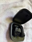 Beats Powerbeats Pro True Wireless Ear-hook Earbuds W  Case  Mic  Black