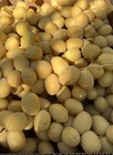 10 Lb Yellow Barhi Datrs     California Crispy And Sweet  