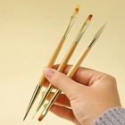 3 Pcs Nail Drawing Brushes  Dual End Nail Art Pen Brush Acrylic Round Flat Paint