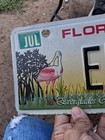 Florida Everglades River Of Grass License Plate 