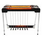 Fender 8-string Double Neck Pedal Steel Guitar