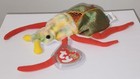 Ty Beanie Baby - Scurry The Beetle 6 5  New Mwmts Plush Stuffed Animal Toy