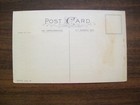 Vintage Postcard- New Years Greetings Sentiment  unused  -  1301 