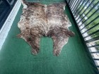 Cowhide Rug Exotic Brindle Brown White 66 x64   5 5x5 3 Ft    Premium Hide  sam