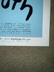 Sonic Youth Sonic Nurse Poster Casey Burns Cats Cradle Rare 2004 North Carolina