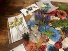 Lot Of Flower Embellishments