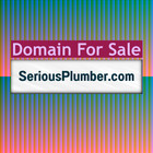 Seriousplumber  com   Domains For Sale   Business Brand  Website Name   Porkbun