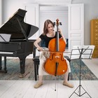 Cello 4 4 Acoustic Cellos With Bow Stand Bag Rosin Bridge