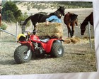 1982 Honda  Atc 200e Genuine International Sales Brochure Nos