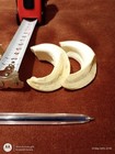 2 Large Wild Boar Teeth Tusks Tooth Fangs Talisman Amulet Shamanic Jewellery