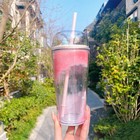 New Starbucks 2022 Spring Cherry Blossom Sakura Bird Pp 473ml Straw Cup Tumbler