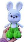 Handmade Crochet White Bunny Amigurumi Plushy In Green Trousers Spring Gift