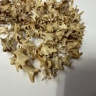 Lot Of 100 Assorted Mink Vertebrae Bones Real Cleaned Art Goth Crafts  4080