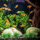  Aquarium Plant Ornaments  Artificial Water Plants  Lifelike Plastic Fish Green
