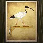Egyptian Ibis Art Print God Thoth Painted Hieroglyph Wall Decor