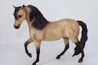 Breyer Horse Marabella Mare   Foal Color Crazy Even Buckskin Dorsal Stripe Black