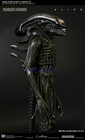 Sideshow Alien Statue Resin Model Collectible Limited Boy Gift 85cm