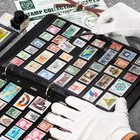 20 Sheets Stamp Pages Collector Stamp Collecting Album Binder Standard 9 Hole Bi