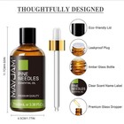 Mayjam 3 38oz Pine Needles Essential Oil 100  Pure Natural Therapeutic Grade Oil